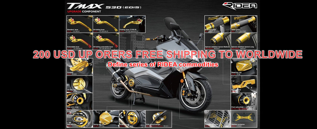 RIDEA Feedback activities