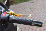 RIDEA Carban Bar End (SS01)