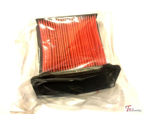 Kymco Ak550 Oem Air Filter 17211-Lgc6-E00