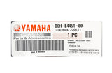 Yamaha Genuine Air Filter B6H-E4451-00